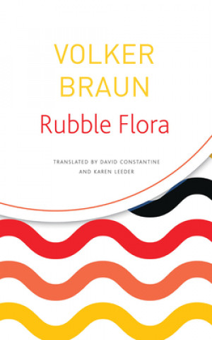 Knjiga Rubble Flora Volker Braun