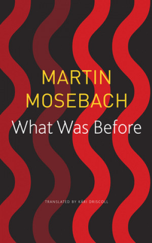 Boek What Was Before Martin Mosebach