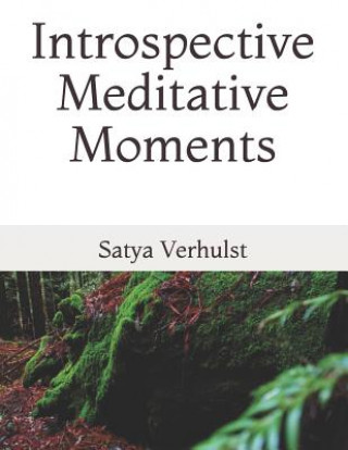 Книга Introspective Meditative Moments. Satya Terri Verhulst