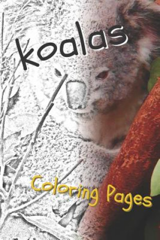 Книга Koala Coloring Pages: Beautiful Drawings for Adults Relaxation and for Kids Coloring Sheets