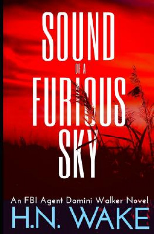 Carte Sound of a Furious Sky: FBI Agent Domini Walker Book 1 Hn Wake