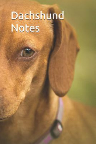 Knjiga Dachshund Notes Susan Victoria
