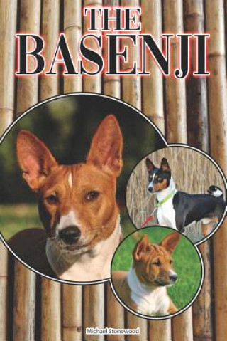 Könyv The Basenji: A Complete and Comprehensive Beginners Guide To: Buying, Owning, Health, Grooming, Training, Obedience, Understanding Michael Stonewood
