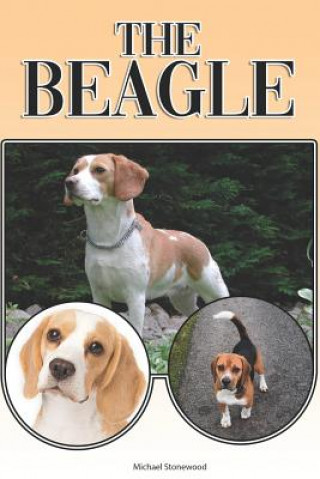 Könyv The Beagle: A Complete and Comprehensive Beginners Guide To: Buying, Owning, Health, Grooming, Training, Obedience, Understanding Michael Stonewood