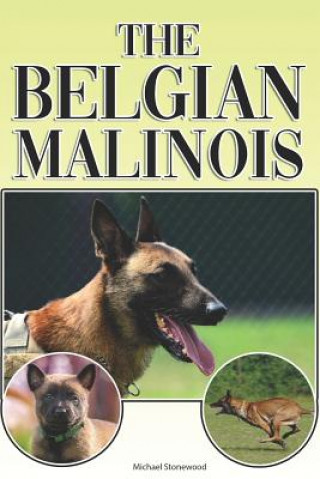 Könyv The Belgian Malinois: A Complete and Comprehensive Beginners Guide To: Buying, Owning, Health, Grooming, Training, Obedience, Understanding Michael Stonewood