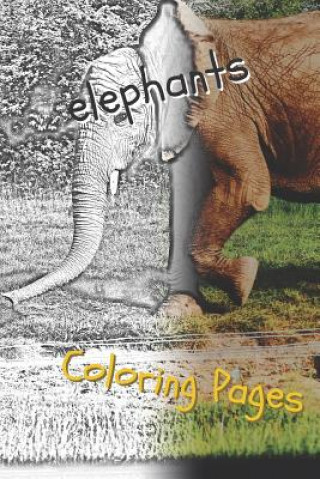 Knjiga Elephant Coloring Pages: Beautiful Coloring Pages with Animal for Adults and for Kids Coloring Pages