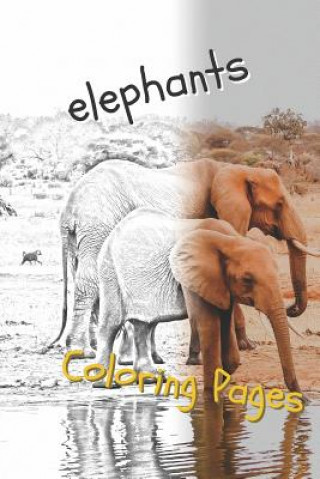 Knjiga Elephant Coloring Pages: Beautiful Coloring Pages with Animal for Adults and for Kids Coloring Pages