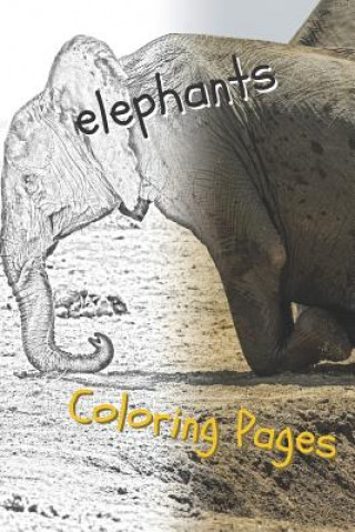 Knjiga Elephant Coloring Pages: Beautiful Coloring Pages with Animal for Adults and for Kids Coloring Pages