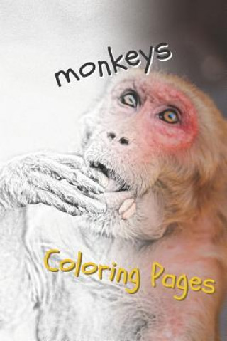 Könyv Monkeys Coloring Pages: Beautiful Coloring Pages for Adults Relaxation Coloring Pages