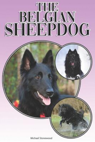 Könyv The Belgian Sheepdog: A Complete and Comprehensive Beginners Guide To: Buying, Owning, Health, Grooming, Training, Obedience, Understanding Michael Stonewood
