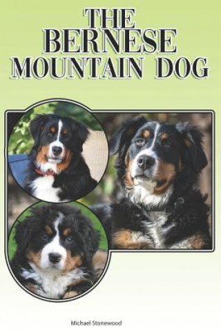 Könyv The Bernese Mountain Dog: A Complete and Comprehensive Beginners Guide To: Buying, Owning, Health, Grooming, Training, Obedience, Understanding Michael Stonewood
