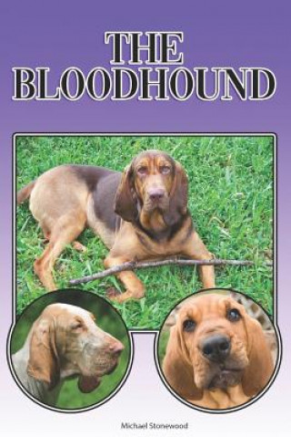 Carte The Bloodhound: A Complete and Comprehensive Beginners Guide To: Buying, Owning, Health, Grooming, Training, Obedience, Understanding Michael Stonewood