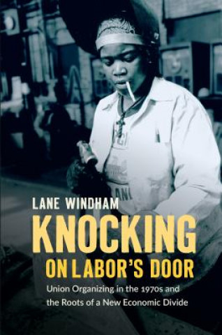 Kniha Knocking on Labor's Door Lane Windham