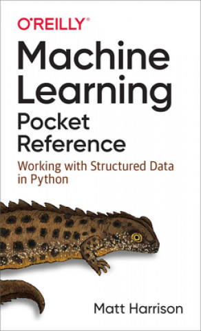 Kniha Machine Learning Pocket Reference Matt Harrison