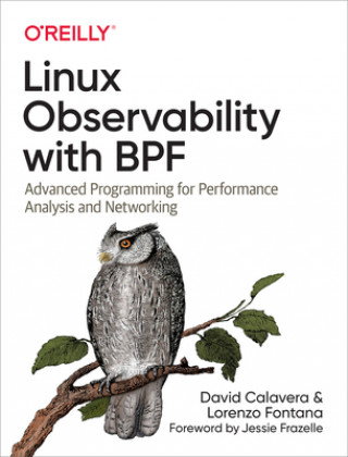 Könyv Linux Observability with BPF David Calavera