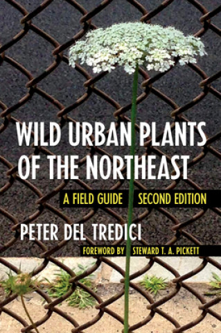 Livre Wild Urban Plants of the Northeast Peter Del Tredici