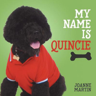 Kniha My Name is Quincie Joanne Martin