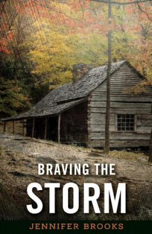 Buch Braving the Storm: Volume 1 Jennifer Brooks