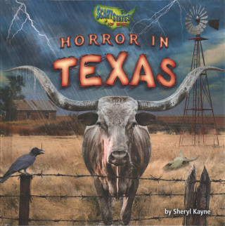 Buch Horror in Texas Sheryl Kayne