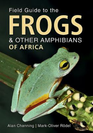 Kniha Field Guide to Frogs and Other Amphibians of Africa Alan Channing