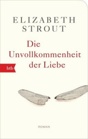 Kniha Die Unvollkommenheit der Liebe Elizabeth Strout