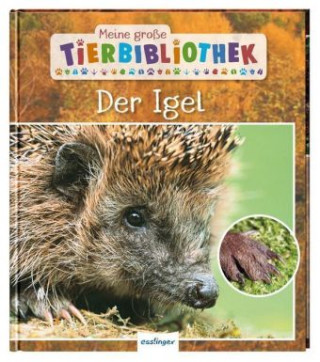 Kniha Meine große Tierbibliothek: Der Igel Valérie Tracqui