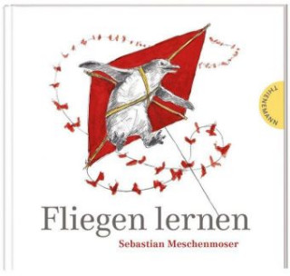 Kniha Fliegen lernen Sebastian Meschenmoser