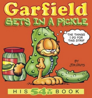 Book Garfield ve vlastní šťávě Jim Davis