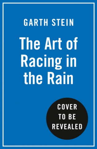 Kniha Art of Racing in the Rain Garth Stein