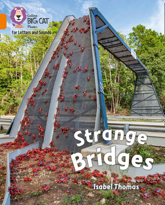 Könyv Strange Bridges PREPARED FOR PUBLICA