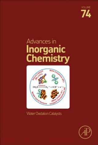 Kniha Water Oxidation Catalysts Rudi Van Eldik