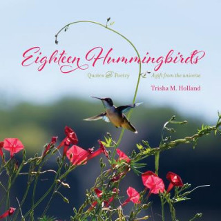 Buch Eighteen Hummingbirds Trisha M Holland