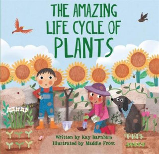 Book Look and Wonder: The Amazing Plant Life Cycle Story Kay Barnham