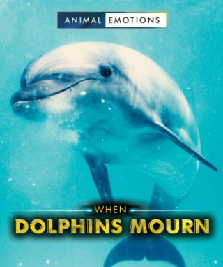 Buch When Dolphins Mourn Linda Bozzo