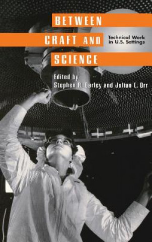 Könyv Between Craft and Science: Immigrants and Small Business in New York City Stephen R. Barley