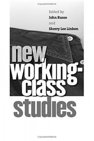 Book New Working-Class Studies John Russo