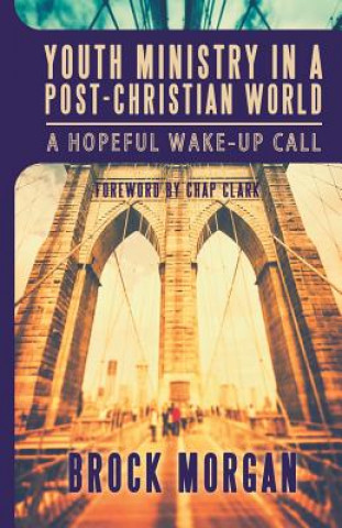 Kniha Youth Ministry in a Post-Christian World: A Hopeful Wake-Up Call Chap Clark