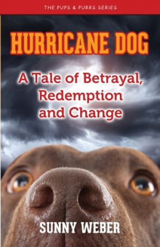 Buch Hurricane Dog: A Tale of Betrayal, Redemption and Change Sunny Weber