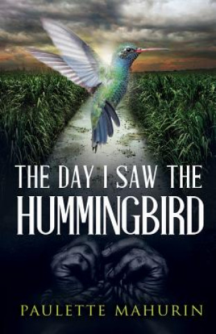 Buch The Day I Saw the Hummingbird Paulette Mahurin
