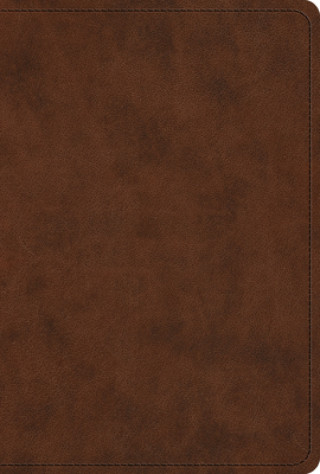Knjiga ESV New Testament 
