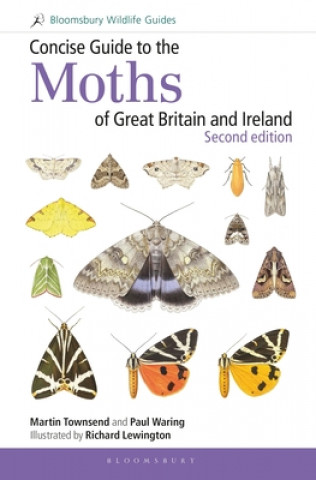 Könyv Concise Guide to the Moths of Great Britain and Ireland: Second edition Martin Townsend