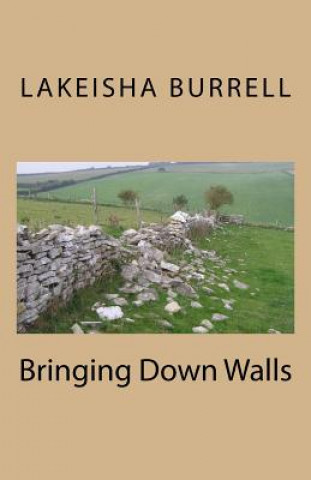 Libro Bringing Down Walls Lakeisha Burrell