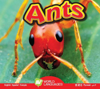 Libro Ants Aaron Carr