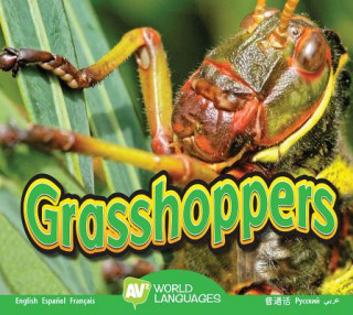 Libro Grasshoppers Aaron Carr