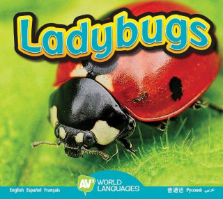 Knjiga Ladybugs Aaron Carr
