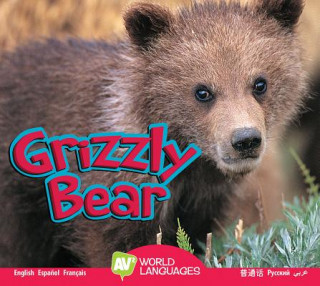 Book Grizzly Bear Karen Durrie