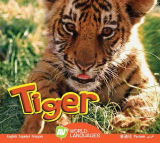 Book Tiger Steve MacLeod