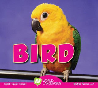 Book Bird Aaron Carr