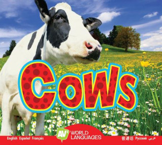 Carte Cows Aaron Carr