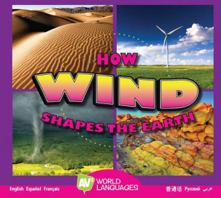 Kniha How Wind Shapes the Earth Megan Cuthbert